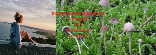 PSILOCYBIN Алексин