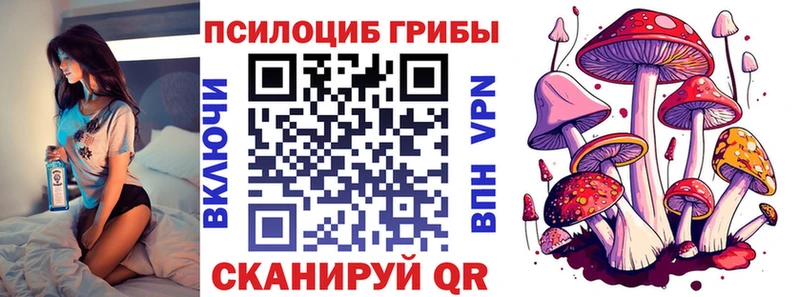 Галлюциногенные грибы Magic Shrooms  Купить где  Слюдянка 